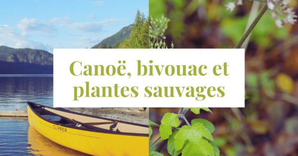 Stage Cano Bivouac Et Plantes Sauvages Cuisine Sauvage Asbl