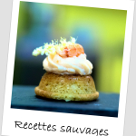 Recettes sauvages