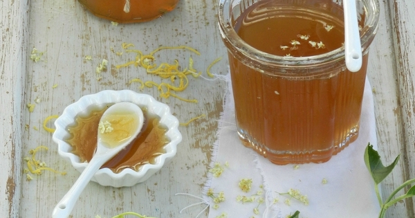 Gelée de fleurs de sureau - Cuisine Sauvage ASBL