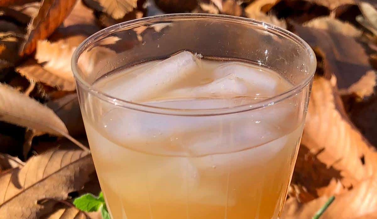 Boisson berce et pommes - Cuisine Sauvage ASBL